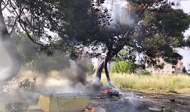 Hurda atık yangını yarım asırlık ağacı küle çevirdi