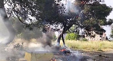Hurda atık yangını yarım asırlık ağacı küle çevirdi
