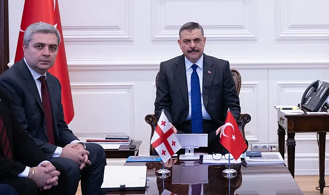 İçişleri Bakanlığı'nda Türkiye-Gürcistan temasları