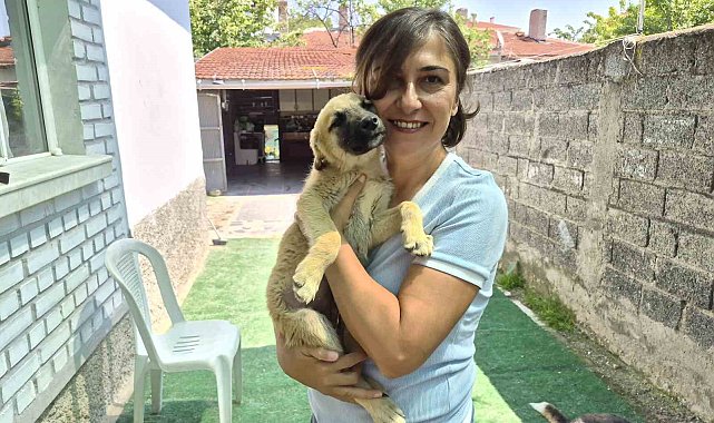 İki gönüllünün şefkat eli yüzlerce sokak hayvanına ulaşıyor
