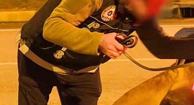 Isparta'da narkotikten bir haftada 18 operasyon, 3 tutuklama