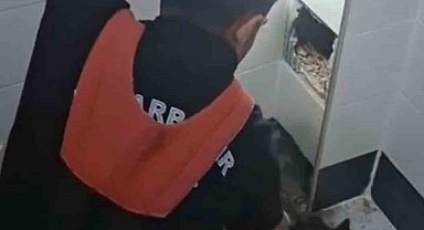 İtfaiye erleri havalandırma boşluğunda kalan kedi için seferber oldu