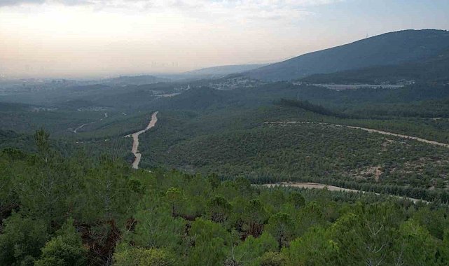İzmir'de ormanlara giriş yasağı başladı