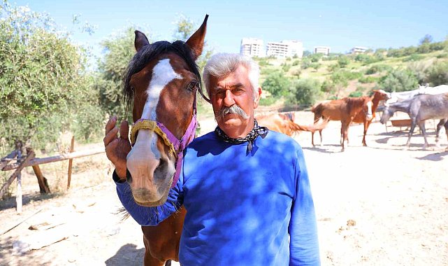 Kahramanmaraş'ta kaçan atları trafik polisleri sahibine teslim etti