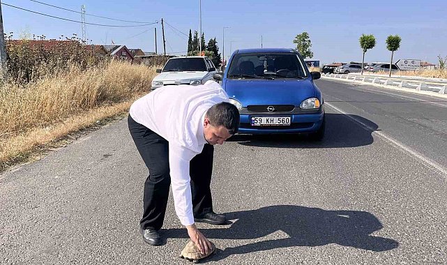 Kaplumbağayı ezilmekten kurtardı