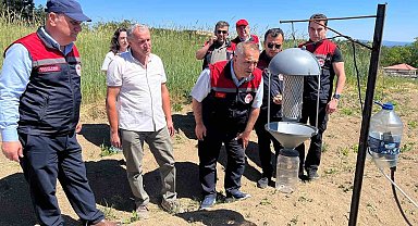 Karabük'te safran üretim alanlarında teknik inceleme yapıldı
