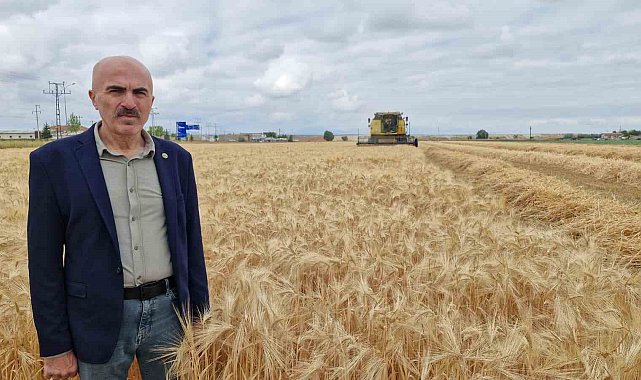 Karaman Ovası'nda yılın ilk arpa hasadı yapıldı