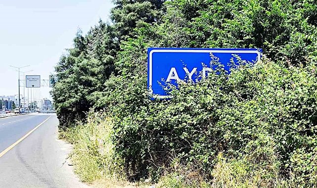 Karayolu üzerindeki Aydın tabelası çalılar arasında kaldı