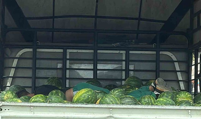 Karpuzlar arasında uyku gülümsetti