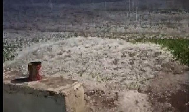 Kars'ta gece yarısı dolu kabusu: Vatandaşlar panikle kameraya sarıldı