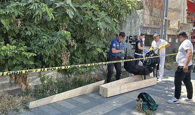 Kaybolan kedisini ararken ceset buldu