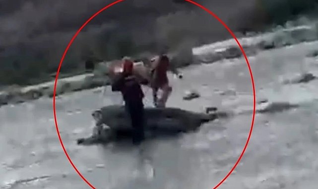 Kezer Çayı'nda mahsur kalan çocuğu AFAD kurtardı