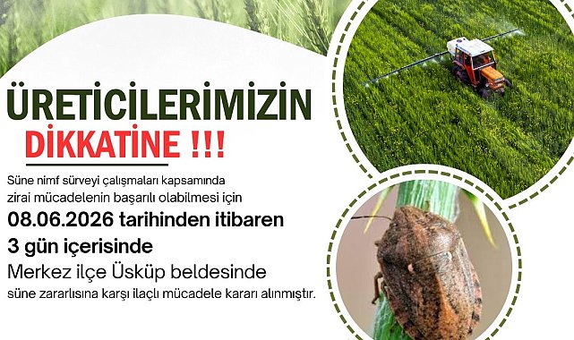 Kırklareli'nde süne alarmı: Üreticilere 3 günlük ilaçlama çağrısında bulunuldu