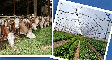 Kırsal Kalkınma Yatırım Programı başvuruları 3 Temmuz'a uzatıldı
