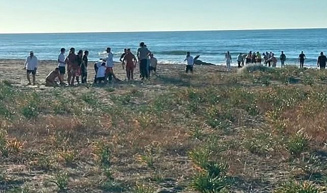 Kocaali sahilinde baba ve kızı boğulma tehlikesi geçirdi