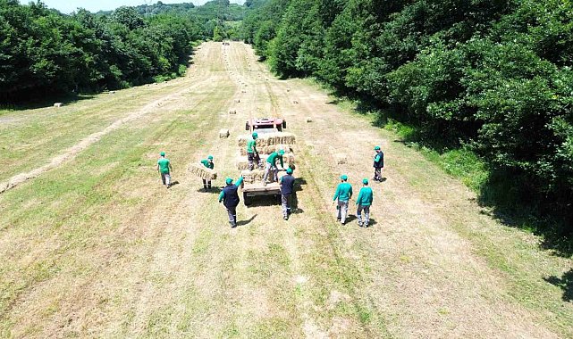 Kocaeli'deki doğal yaşam parkı Ormanya kendi yemini üretiyor