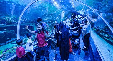 Körfez Aqua Kıtalar Akvaryumu'na yoğun ilgi