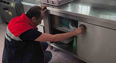 Köşk İlçe Tarım denetimlerini sürdürüyor
