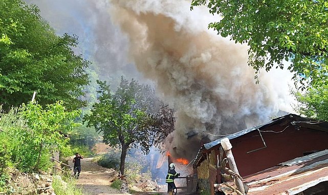 Kozan'da yayla evindeki yangın ormana sıçradı, ekipler müdahale ediyor