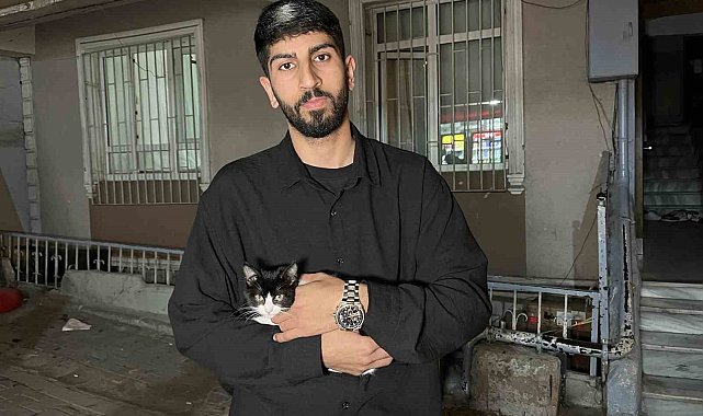 Küçükçekmece'de 7'inci kattan düşen kedi şemsiye ile kurtarıldı