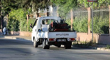 Küçükçekmece'de sivrisineklere karşı mücadele yoğunlaştı
