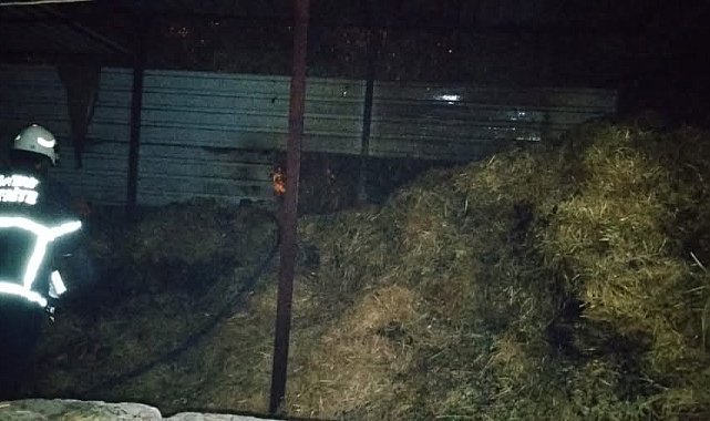 Kumlu'da samalık yangını