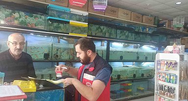Kütahya'da ev hayvanı satış yerlerinde denetim