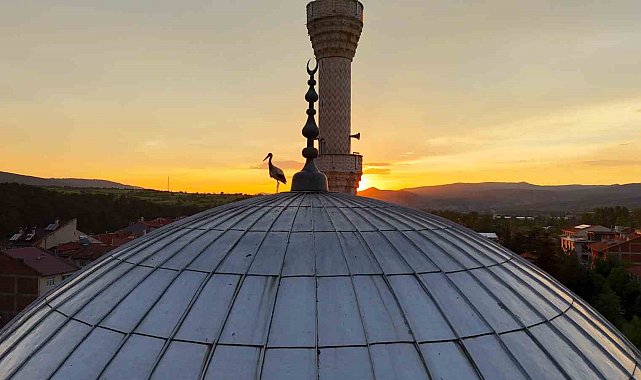 Leylekler gün batımını cami kubbesinde karşıladı, mest eden anlar havadan görüntülendi