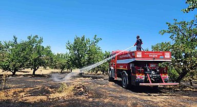 Malatya'da bahçe ve orman yangını