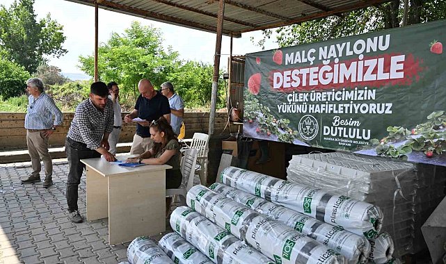 Manisa Büyükşehir'den çilek üreticilerine malç naylonu desteği