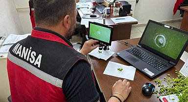 Manisa'da 102 istasyondan gelen verilerle üreticiye erken uyarı