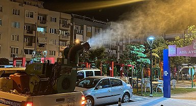 Manisa'da haşereye karşı alarm