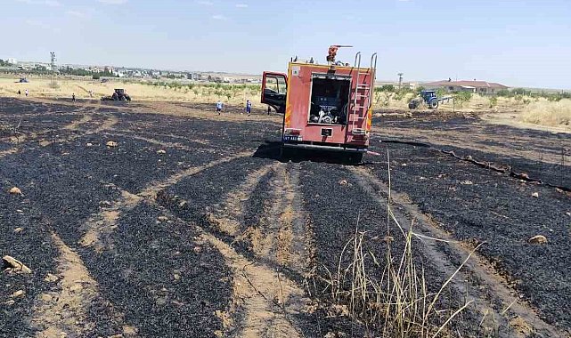 Mardin'de 40 dönüm buğday ekili alan yangında zarar gördü