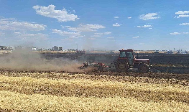 Mardin'de 80 dönüm buğday ekili alan küle döndü