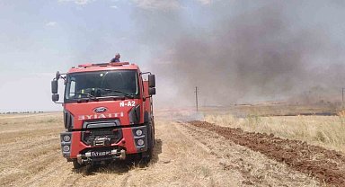 Mardin'de anız yangını söndürüldü