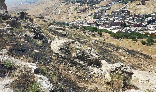 Mardin'de ormanlık alanda çıkan yangın söndürüldü