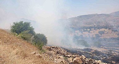 Mardin'de ormanlık alanda çıkan yangına müdahale ediliyor