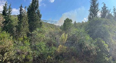 Marmaris'te yıldırım kaynaklı orman yangını