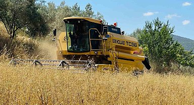 Menteşe'de biçerdöverlere sıkı denetim