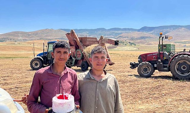 Mercimek tarlasında kavurucu sıcak altında doğum günü sürprizi