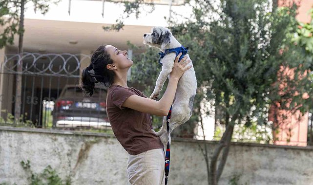 Mersin'de sahiplendirme kampanyasıyla bin 927 köpek yeni yuvasına kavuştu