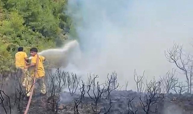 Muğla'da yıldırım kaynaklı 2 orman yangını