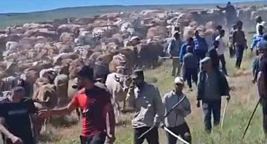 Muş'ta iki köy arasında 'arazi' kavgası: 2 yaralı