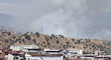 Nazilli'de zirai alan yangını