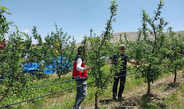 Niğde'de dolu ve sağanak tarım arazilerine zarar verdi