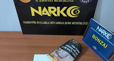 Ordu'da uyuşturucu operasyonlarında 1 tutuklama