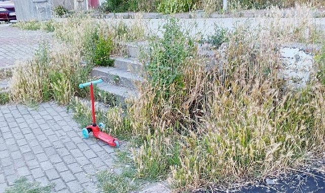 Otluk alana dönen bu park bakım ve temizlik bekliyor
