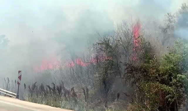 Otluk alanda çıkan yangın korkuttu