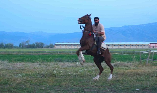 "Mehmet: Fetihler Sultanı" oyuncusu Mustafa Kaya, Muş'ta film atlarını hazırladı