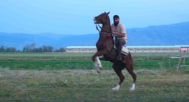 "Mehmet: Fetihler Sultanı" oyuncusu Mustafa Kaya, Muş'ta film atlarını hazırladı
